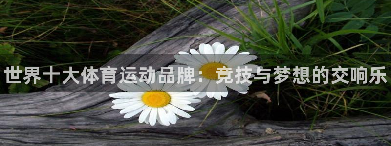 米兰体育官网下载平台注册要钱吗安全吗：世界十大体育运