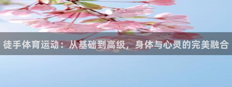 米兰体育官网下载开户：徒手体育运动：从基础到高级，身