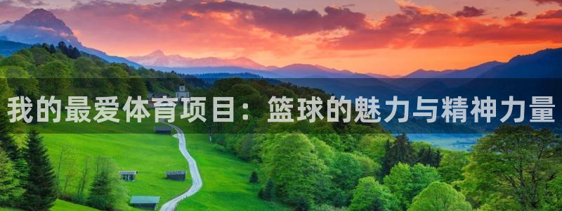 米兰体育官网下载软件：我的最爱体育项目：篮球的魅力与