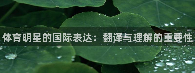 米兰体育官方正版app娱乐首页网站大全：体育明星的国