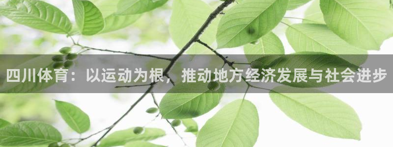 米兰体育官方正版app娱乐首页官网下载：四川体育：以