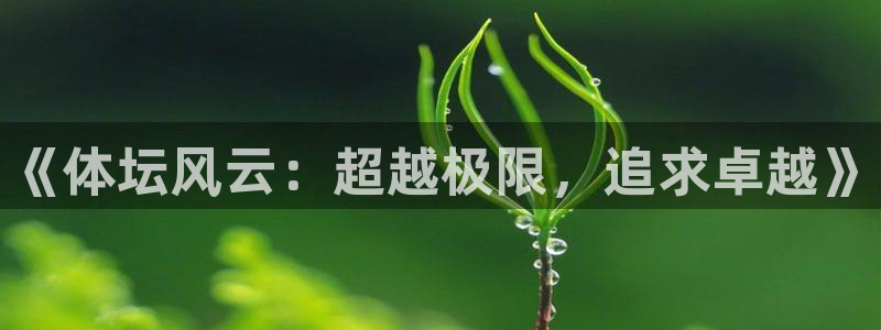 海南米兰体育官网下载：《体坛风云：超越极限，追求卓越》