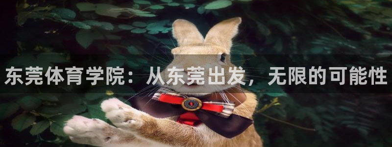 米兰体育官方正版app娱乐下载：东莞体育学院：从东莞出发，无