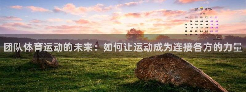 米兰体育官网下载招商电话号码是多少号：团队体育运动的未来：如