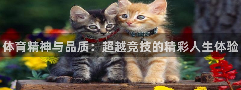 米兰体育官方正版app娱乐40996：体育精神与品质：超越竞