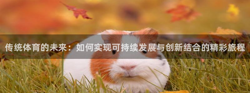 米兰体育官网下载招商电话号码查询：传统体育的未来：如