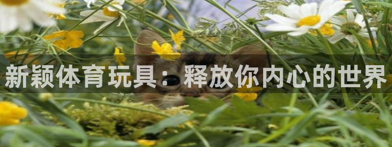 米兰体育官方正版app开户