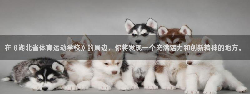 米兰体育官网下载招商电话是多少号码：在《湖北省体育运动学校》