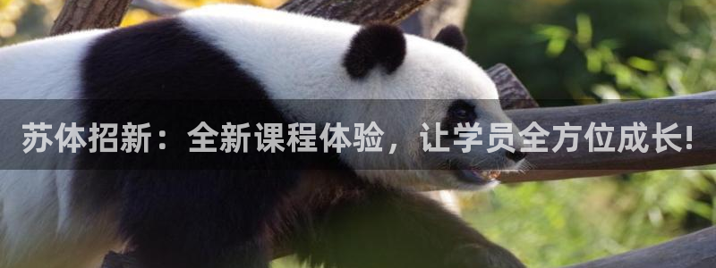 注册米兰体育官方正版app：苏体招新：全新课程体验，
