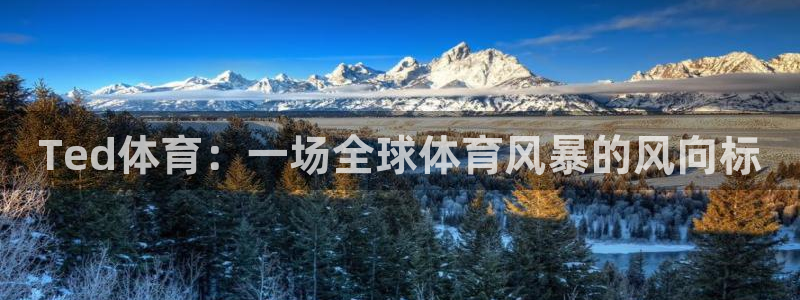 米兰体育官网下载招商电话是多少号码：Ted体育：一场全球体育
