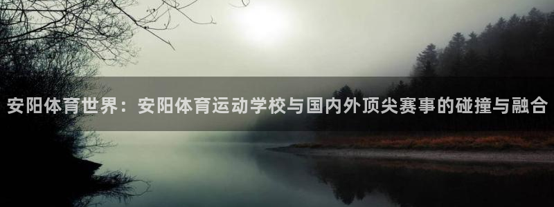 米兰体育官方正版app新能源