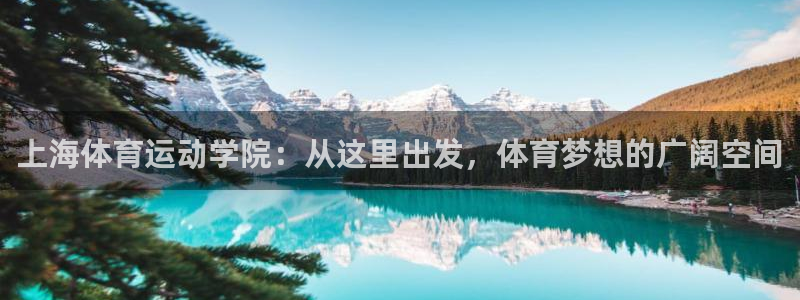 米兰体育官方正版app集团logo：上海体育运动学院：从这里