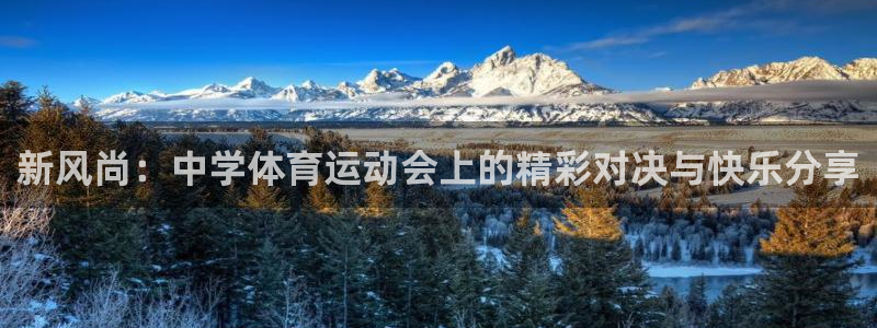 米兰体育官网下载软件：新风尚：中学体育运动会上的精彩