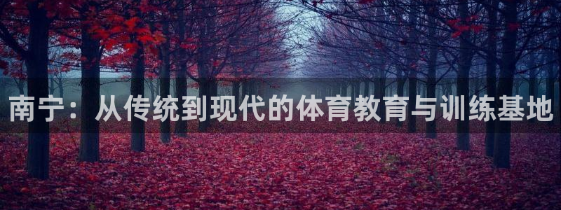 米兰体育官方正版app娱乐首页官网下载：南宁：从传统