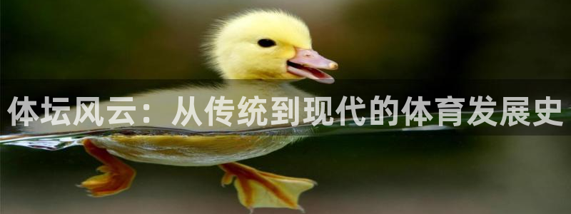 米兰体育官方正版app科技：体坛风云：从传统到现代的