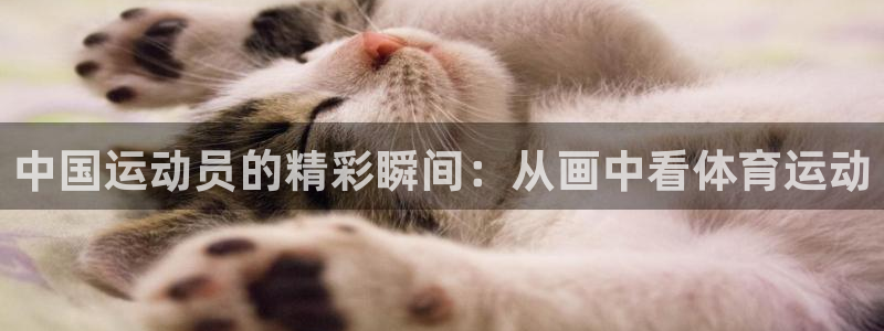 米兰体育官网下载招商电话号码查询：中国运动员的精彩瞬