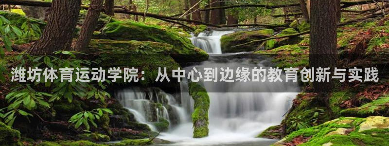 米兰体育官方正版app娱乐是那个系列的台子：潍坊体育运动学院