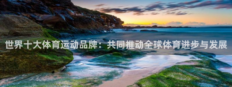 米兰体育官方正版app集团logo：世界十大体育运动