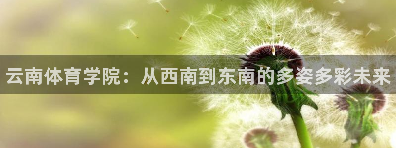 米兰体育官方正版app娱乐首页官网下载：云南体育学院