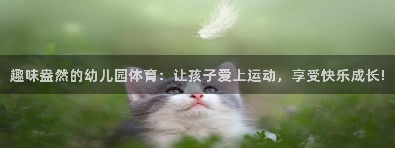 米兰体育官方正版app娱乐下载：趣味盎然的幼儿园体育：让孩子