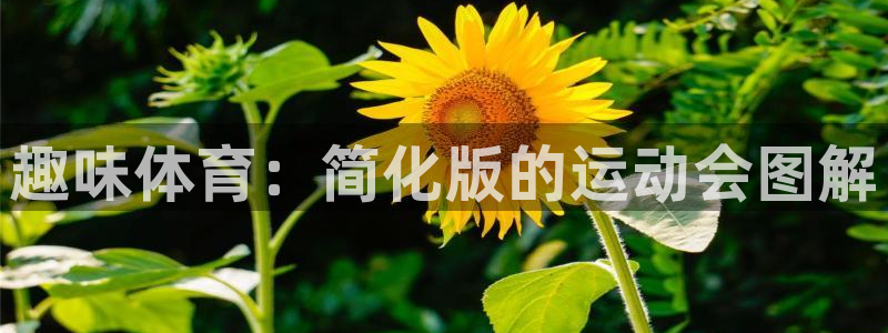 米兰体育官网下载：趣味体育：简化版的运动会图解