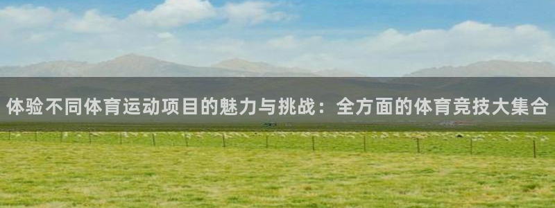 米兰体育官方正版app官方：体验不同体育运动项目的魅力与挑战