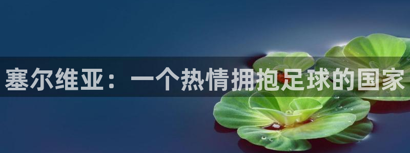 米兰体育官方正版app娱乐网站：塞尔维亚：一个热情拥