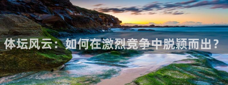 米兰体育官网下载招商电话是多少：体坛风云：如何在激烈竞争中脱