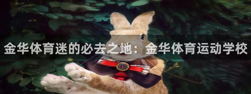 米兰体育官网下载是干嘛的公司：金华体育迷的必去之地：金华体育