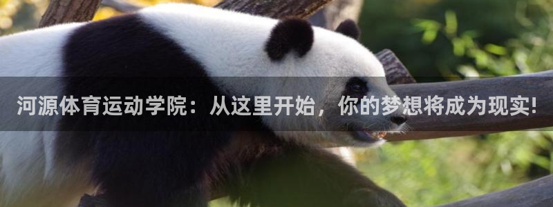 注册米兰体育官方正版app：河源体育运动学院：从这里