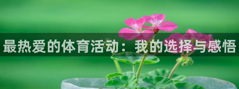 米兰体育官网下载平台注册要钱吗安全吗：最热爱的体育活动：我的